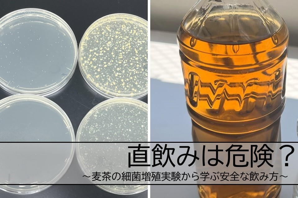 直のみは危険　 麦茶の細菌増殖実験から学ぶ安全な飲み方 - コピー